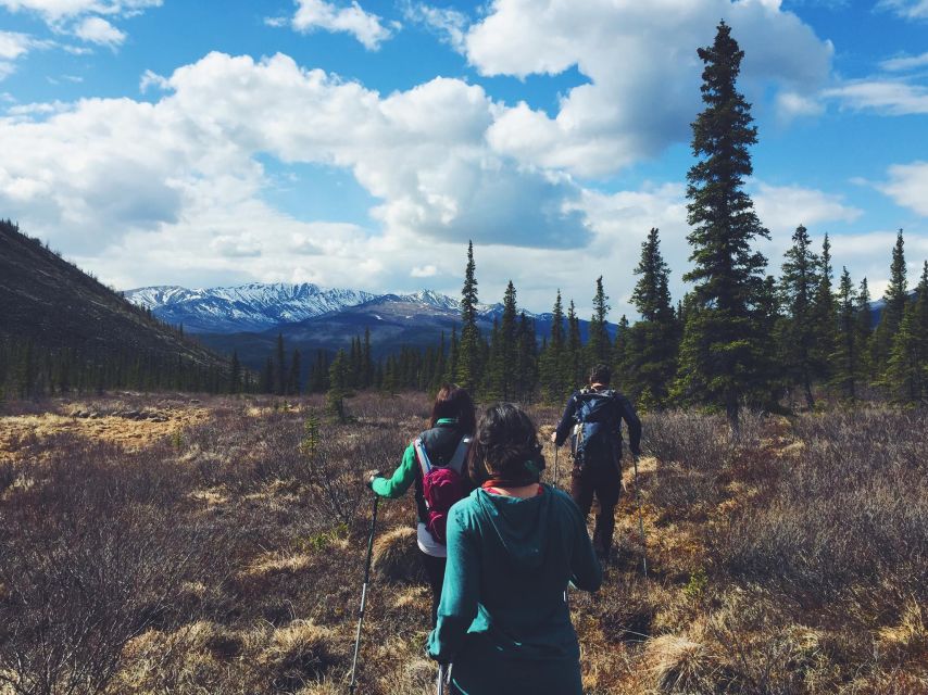 Denali: Denali National Park Walking Tour - Price and value: is $128 worth it?