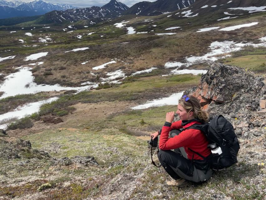 Denali: Denali National Park Walking Tour - Group size and comfort: why “small” matters on this trail