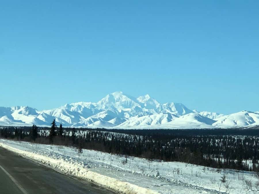 Denali National Park: Full-Day Fairbanks-Denali Adventure - Who This Tour Fits Best (and Who Should Skip It)