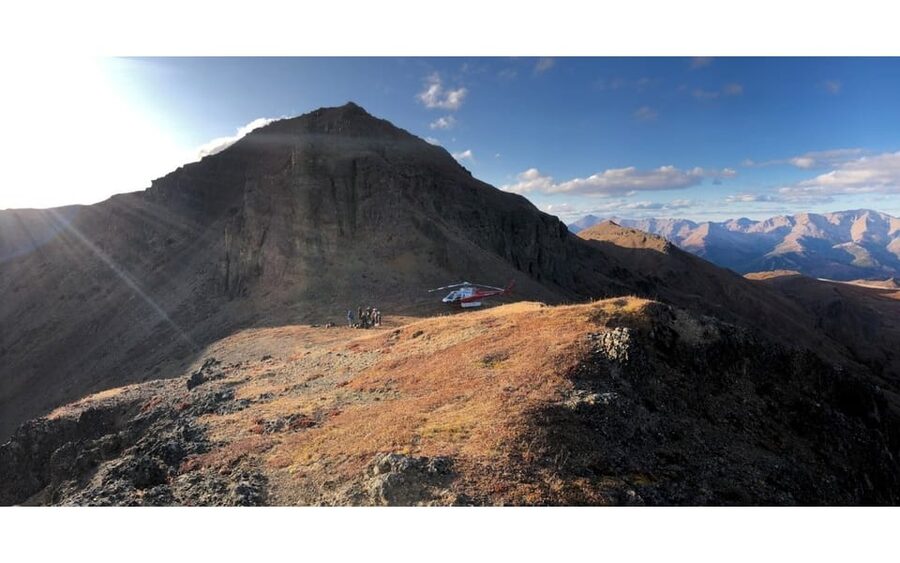 Denali National Park: Helicopter and Hike Adventure - The Gentle Above-Tree-Line Trek (and What Gentle Actually Means)
