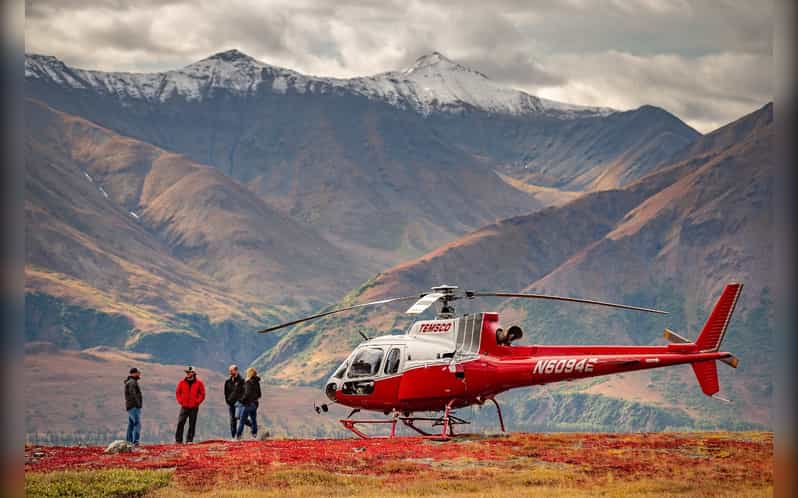 Denali National Park: Helicopter and Hike Adventure - What to Bring to Stay Warm, Safe, and Ready
