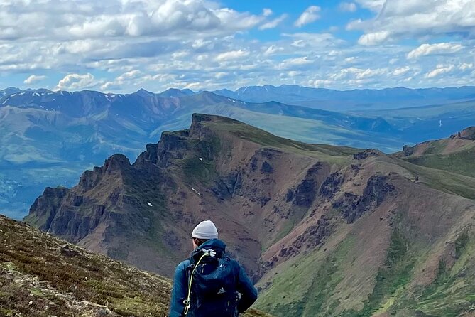 Denali Naturalist Walking Tour - Key Highlights You’ll Feel Right Away
