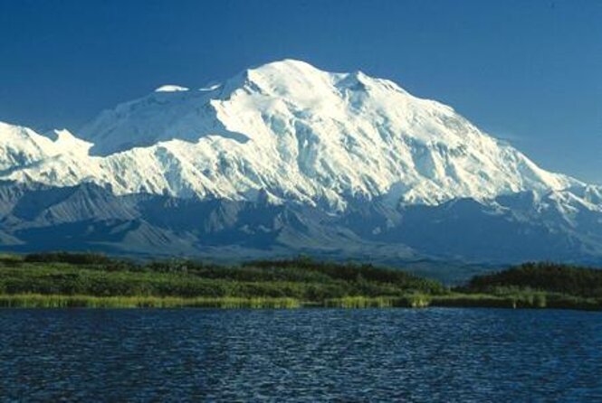 Denali Naturalist Walking Tour - What You’ll Learn About Denali: From Tundra Basics to Boreal Forest Clues
