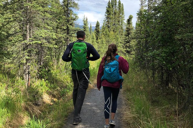 Denali Naturalist Walking Tour - Stop Structure in Plain English: Park Trails Plus a Local Guide Talk