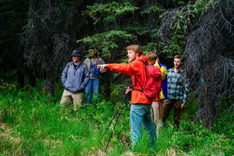 Denali: Naturalist Walking Tour in Denali National Park - Why this Denali walk beats a quick drive
