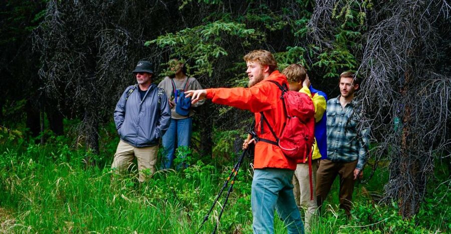 Denali: Naturalist Walking Tour in Denali National Park - The science talk you’ll actually use: permafrost, survival, and connections