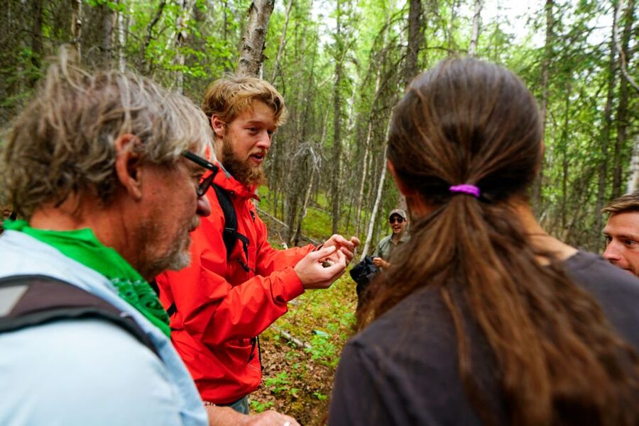 Denali: Naturalist Walking Tour in Denali National Park - Wildlife and wildflowers: what to expect when you’re not on a wildlife-only safari