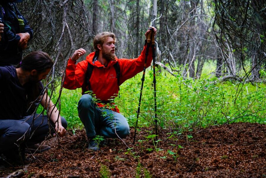 Denali: Naturalist Walking Tour in Denali National Park - Meeting up, van ride, and trail time that actually feels manageable