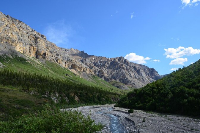 Denali Park Nature Walk (3 Hours) w/Expert Naturalist - Key things that make this Denali nature walk work