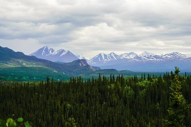 Denali Park Nature Walk (3 Hours) w/Expert Naturalist - Your naturalist guide: small group, big personality