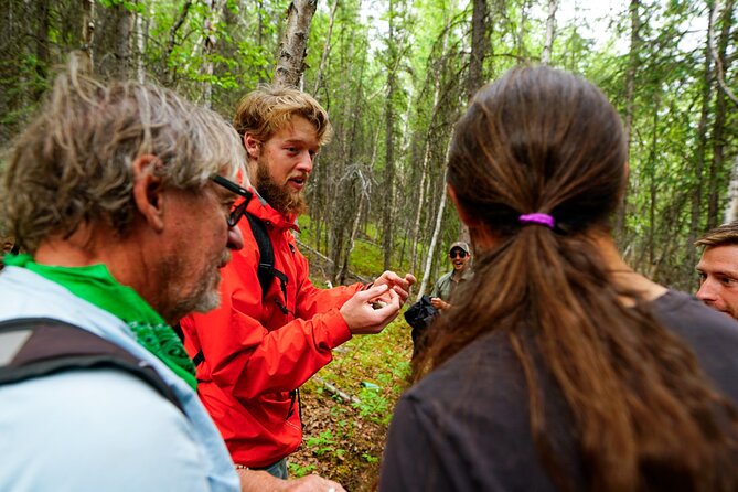 Denali Park Nature Walk (3 Hours) w/Expert Naturalist - Wildlife expectations: plants are the guarantee, animals are the bonus