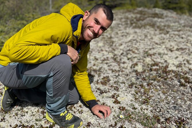 Denali Park Nature Walk (3 Hours) w/Expert Naturalist - Should you book this Denali Park nature walk?