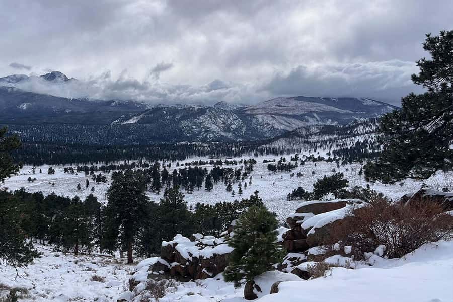 Denver/Boulder: Rocky Mountain National Park Tour - Wildlife Scanning with a Local Guide: How the Day Gets Better