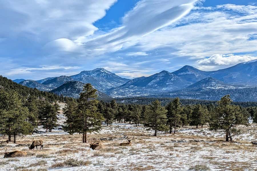 Denver/Boulder: Rocky Mountain National Park Tour - Price and Value: Is $169 Worth It for a One-Day Rockies Hit?