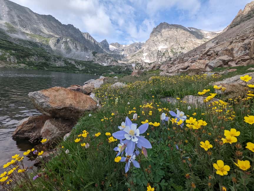 Denver: Private Rocky Mountain National Park Wildlife Tour - The 4Runner TRD Pro Pickup: Getting Started Without Stress