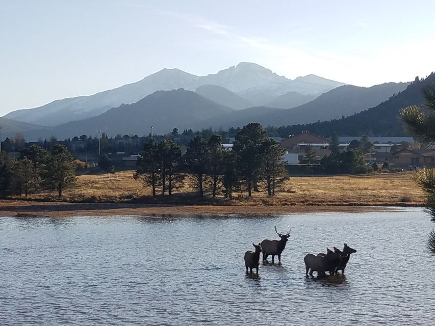 Denver: Rocky Mountain National Park Tour with Picnic Lunch - Key things that make this tour work well