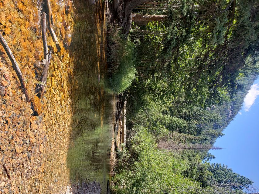 Denver: Rocky Mountain National Park Tour with Picnic Lunch - Union Station to Lyons: the easy start, no map stress