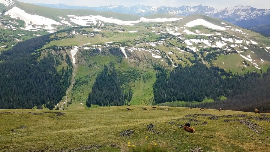 Denver: Rocky Mountain National Park Tour with Picnic Lunch - Alluvial fan hike and Alpine Visitor Center: the smart mid-afternoon rhythm