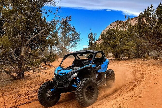 Diana's Throne UTV Adventure Near Zion National Park - Trail time in a high-end UTV: value in how long you drive