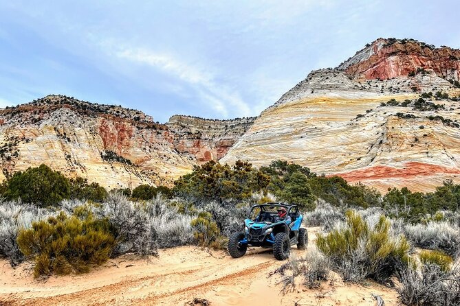 Diana's Throne UTV Adventure Near Zion National Park - Small group energy and what it means for you