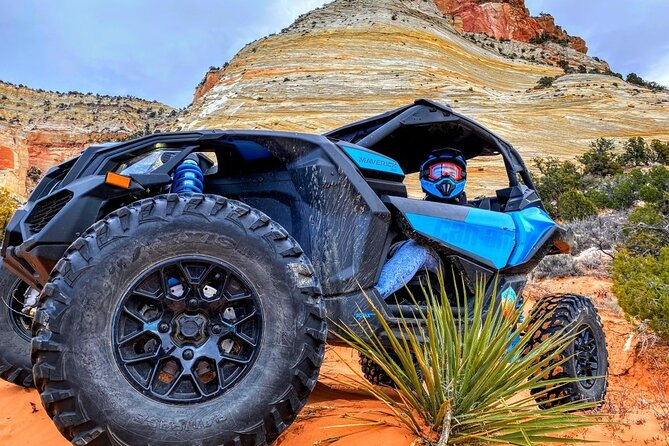 Diana's Throne UTV Adventure Near Zion National Park - Who should book this UTV adventure near Zion