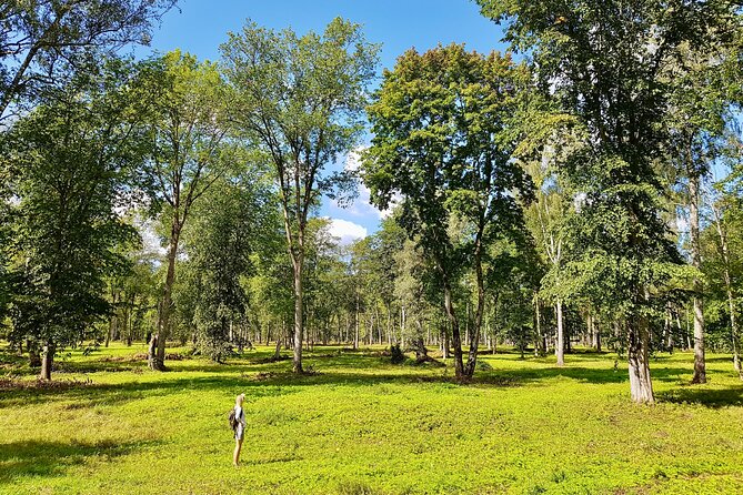 Discover Best Of Gauja National Park In One Day - Getting out of Riga fast: how the logistics really feel
