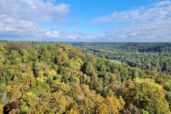 Discover Best Of Gauja National Park In One Day - Stop 1: Gauja National Park beyond the usual viewpoints