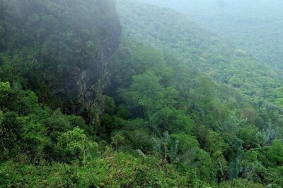 Discover Bokor National Park - Scooter Trails style: what the ride really feels like