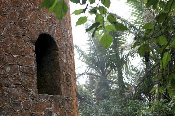 Discover El Yunque National Park: Half-Day Rainforest Tour - Why This Half-Day El Yunque Tour Works (Even If You’re Short on Time)
