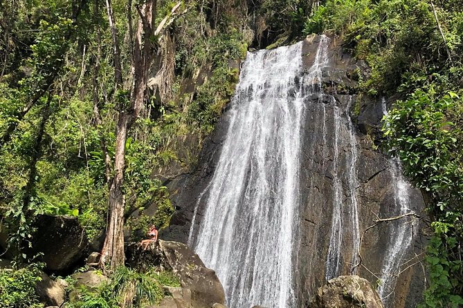 Discover El Yunque National Park: Half-Day Rainforest Tour - El Portal Visitor Center: Where El Yunque Starts Making Sense