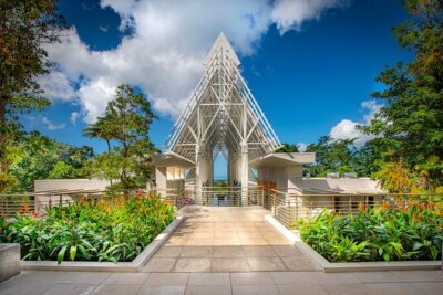 Discover El Yunque National Park: Half-Day Rainforest Tour - Morning Pickup and the Ride Into the Rainforest