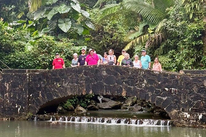Discover El Yunque National Park: Half-Day Rainforest Tour - Time on the Clock: What You’ll Actually Spend Doing