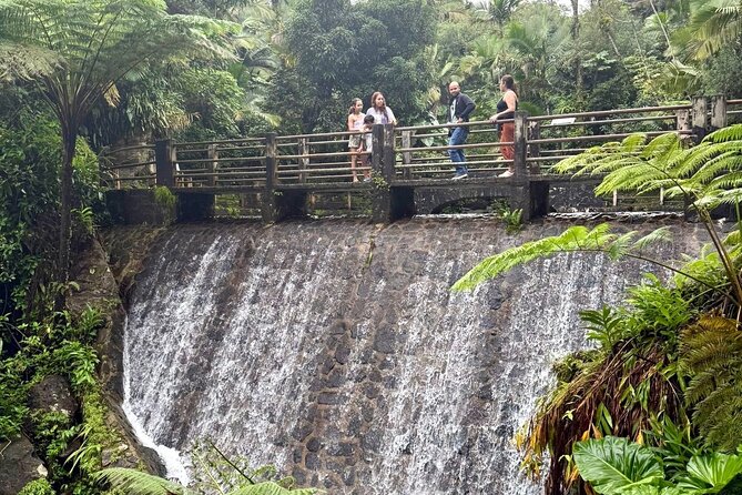 Discover El Yunque National Park: Half-Day Rainforest Tour - The Guides Matter: Frankie and Francisco Set the Tone