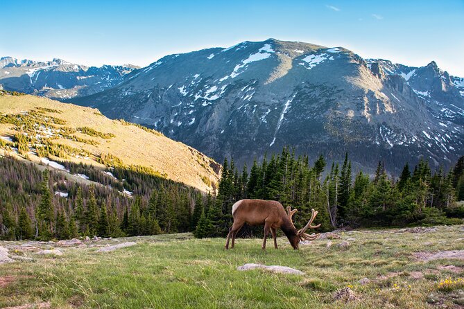 Discover Rocky Mountain National Park - Key highlights to watch for