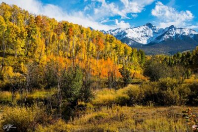 Discover Rocky Mountain National Park - Denver Union Station, Lyons coffee, and Lily Lake: the warm-up