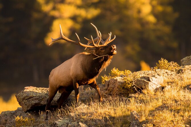 Discover Rocky Mountain National Park - Estes Park and Stanley Hotel views: the Colorado story stops