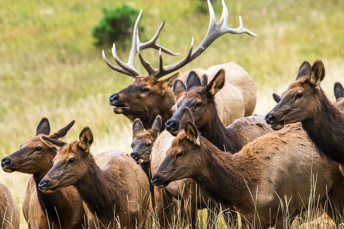 Discover Rocky Mountain National Park - What to wear and bring for winter-to-summer swing days