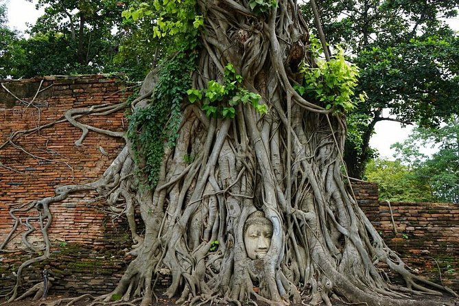 Discover UNESCO World Heritage Sites - Ayutthaya to Khao Yai National Park - The Khao Yai Shift: Getting to Haew Narok and the Park Visitor Center