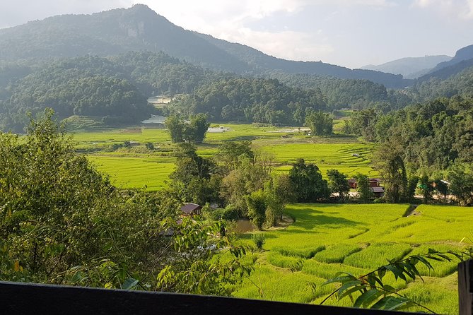 Doi inthanon National Park + 2Hour Fantastic Trekking with Lunch - Pha Dok Siew vs Kiew Mae Pan: how the park changes with the calendar