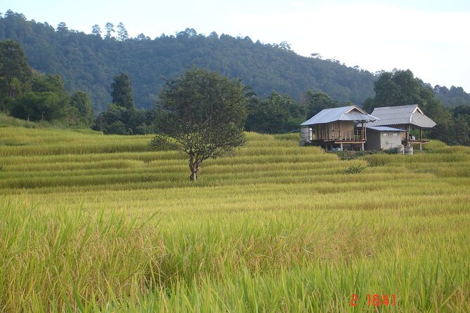 Doi Inthanon National park and 2 hours hiking with private tour - Doi Inthanon: Thailand’s Highest Point and Cooler Forest Air