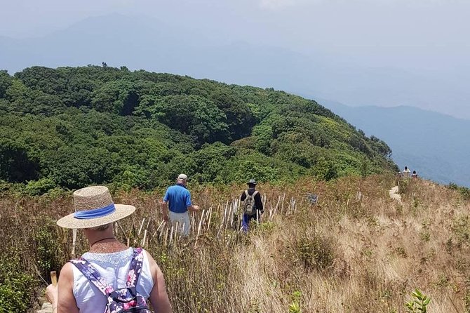 Doi Inthanon National Park Day Trip - Wachirathan Falls: a quick hit of cool air and a real reset