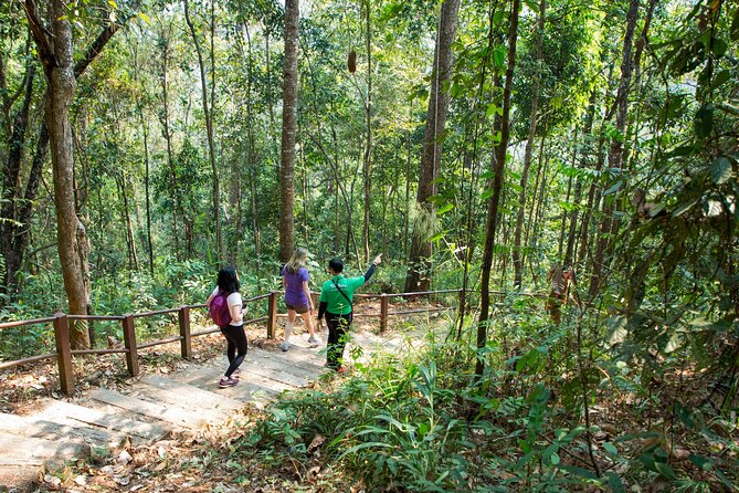 Doi Inthanon National Park Eco-Friendly Full Day Tour - Stop 3: Twin Royal Stupas, long viewpoint time, and royal pagoda details