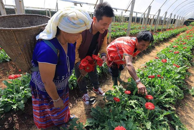 Doi Inthanon National Park Full Day Tour from Chiang Mai - Hmong Tribe market and lunch: a practical cultural pause