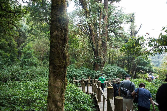 Doi Inthanon National Park Private Tour – Full Day - Why Doi Inthanon feels different with a private guide