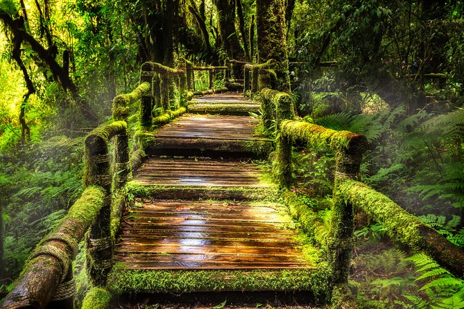 Doi Inthanon National Park - Thailand's Highest Peak - The Summit Area at Doi Inthanon: Shrine Time on a Big Day