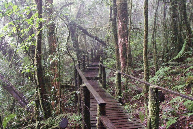 Doi Inthanon National Park - Thailand's Highest Peak - Getting There Comfortably: Pickup, Air-Conditioned Van, Short Walks