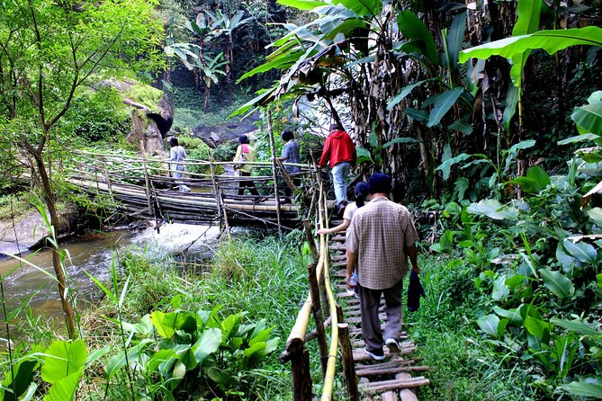 Doi Inthanon National Park, Waterfall & Royal Project Day Tour From Chiang Mai - Wachirathan Waterfall: The One That Gives You Mist and Drama