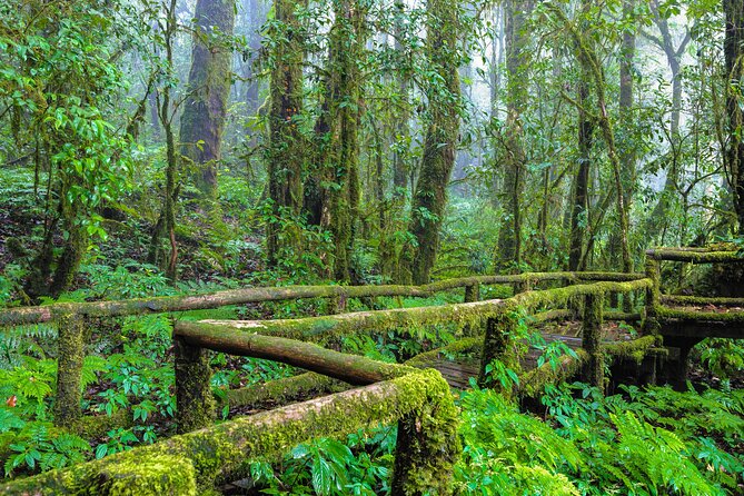 Doi Inthanon National Park, Waterfall & Royal Project Day Tour From Chiang Mai - Sirithan Waterfall: A Different Mood, Same Scenic Payoff