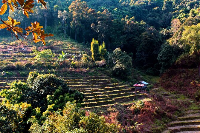 Doi Inthanon National Park, Waterfall & Royal Project Day Tour From Chiang Mai - King and Queen Pagodas: Culture at the Mountain’s Edge