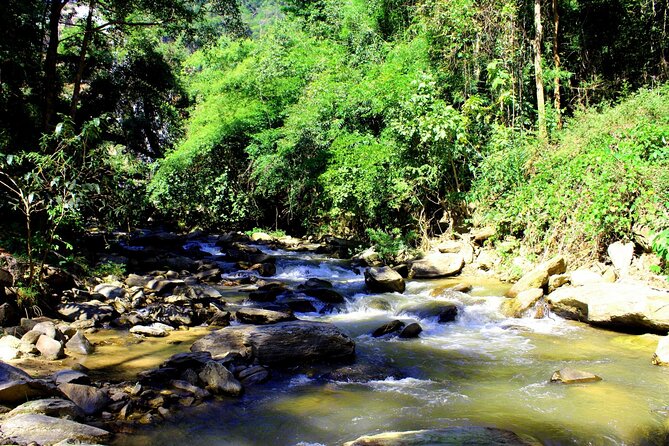Doi Inthanon National Park, Waterfall & Royal Project Day Tour From Chiang Mai - Baan Mae Klang Luang Hill Tribe Village and the Coffee Moment